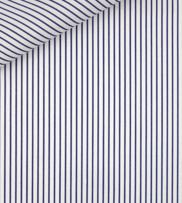 RAMSES 0317-403